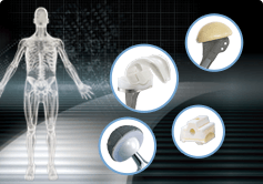 Fine Ceramics Inside the Body
