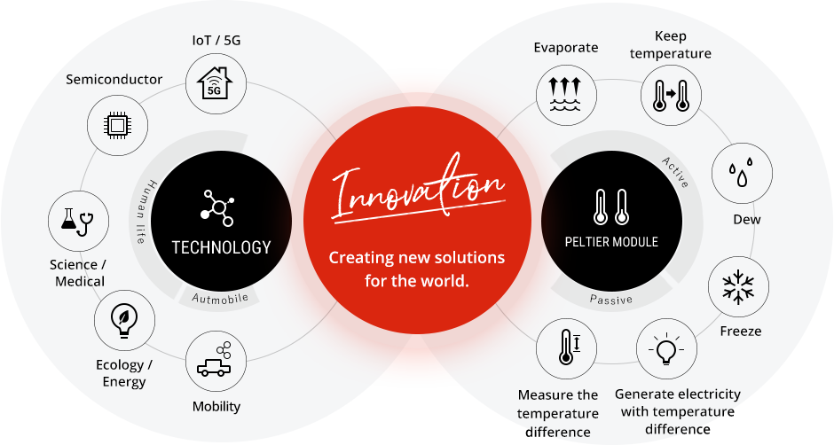  INNOVATION