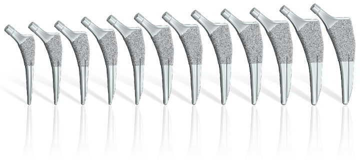 Size Variation