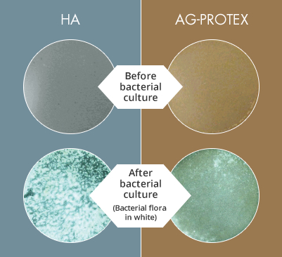 Figure : Results of Bacterial Adhesion Inhibition Test, Before bacterial culture, After bacterial culture (Bacterial flora in white)