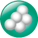 Staphylococcus aureus