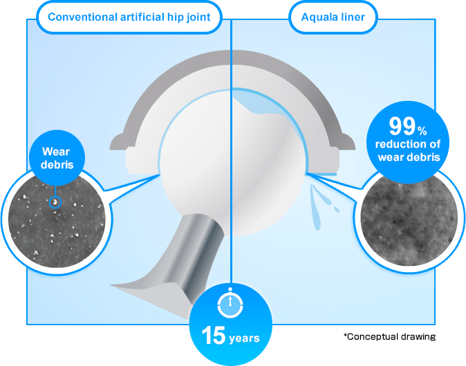 Conventional artificial hip joint,Aquala liner