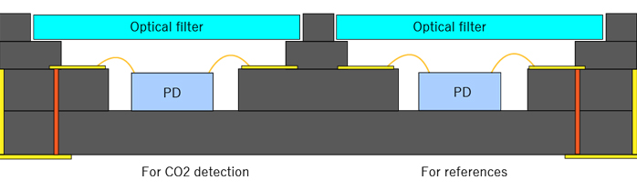 Dual Wavelength Detection