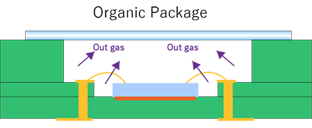 Organic Package