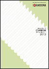 CSR Report 2013