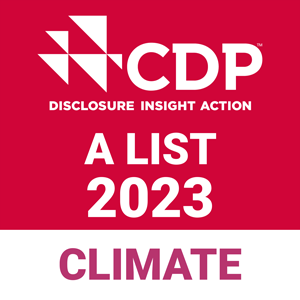CDP A LIST